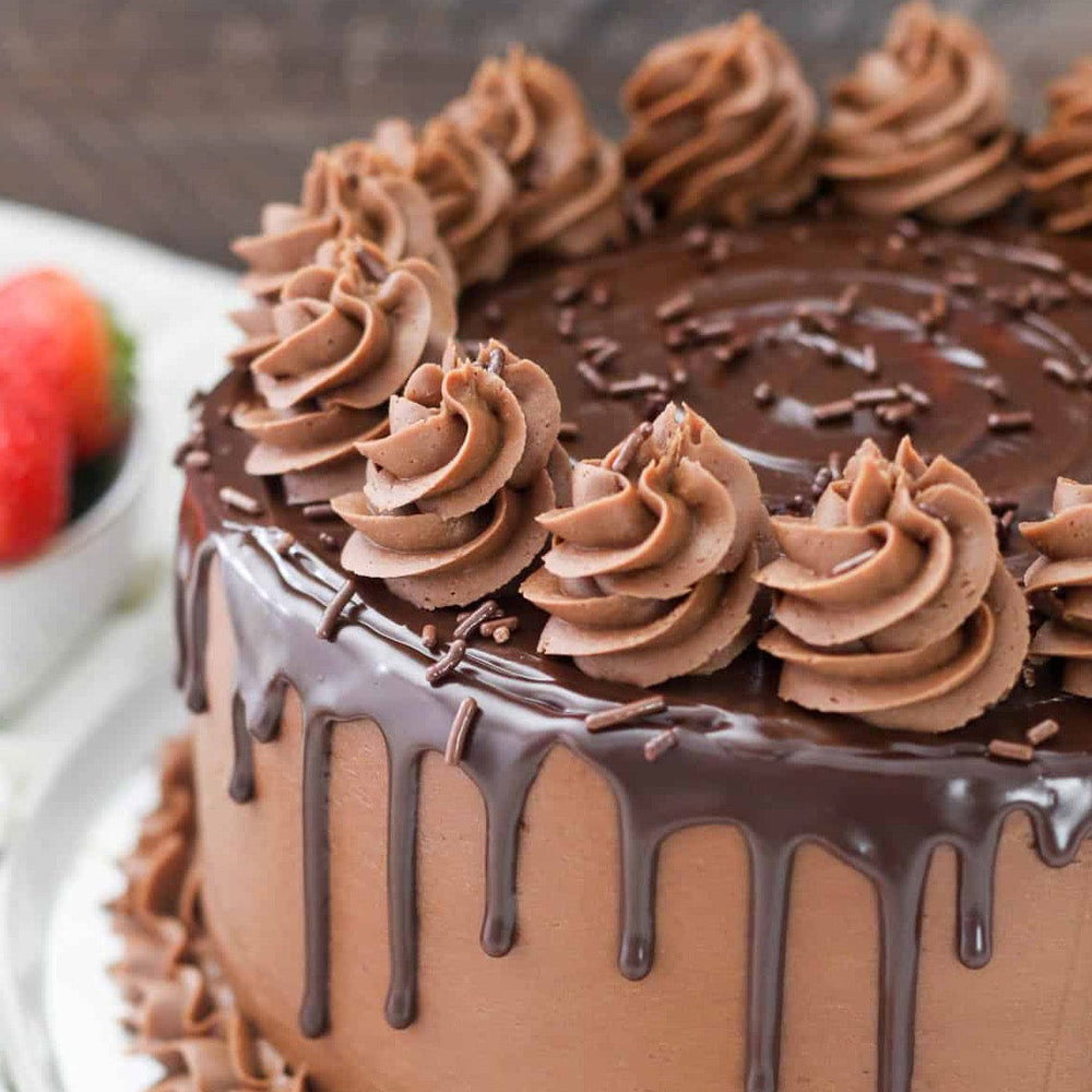 Chocolate Lovers Cake - Arctic Kitchen NZ